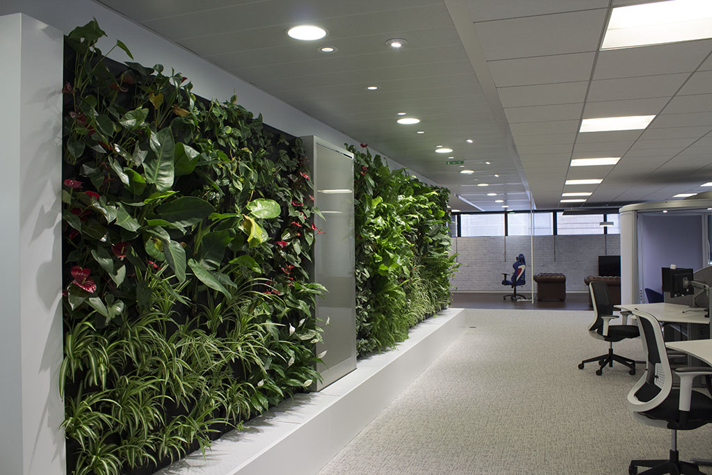 Biophilic Living Green Wall in an Office